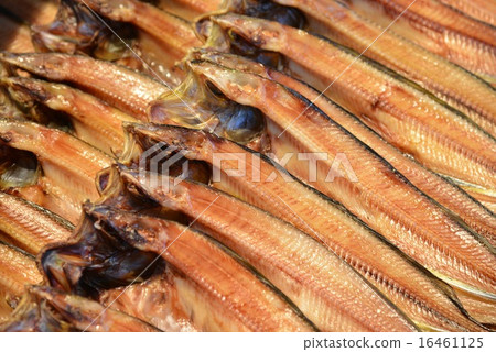 Opening striped hockey Opening striped hockey 16461125