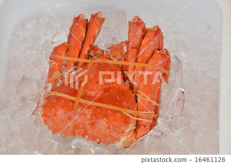King crab King crab 16461126