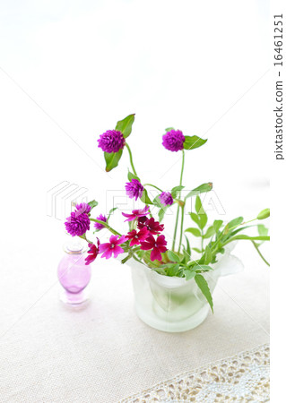 Sennichiko and Verbena Sennichiko and Verbena 16461251