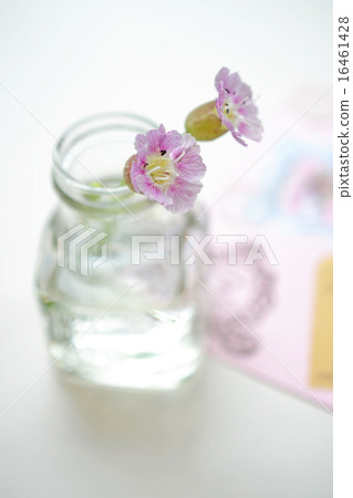 Sirene插入一個玻璃瓶中 Sirene插入一個玻璃瓶中 16461428