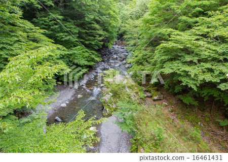 德島ken Oku Iya雙重Kazuraibashi Otokobashi從橋上看到 16461431