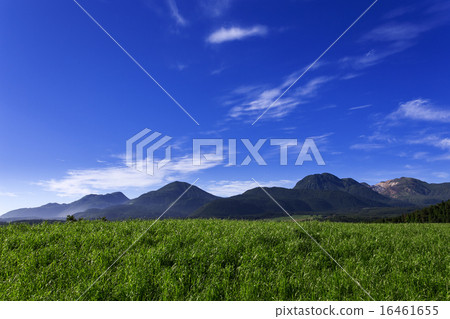 Kusumiyama Otake Pond 16461655