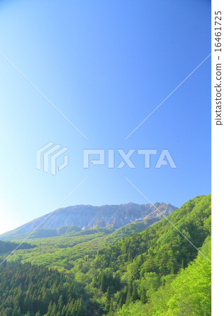 夏天的山 夏天的山 16461725