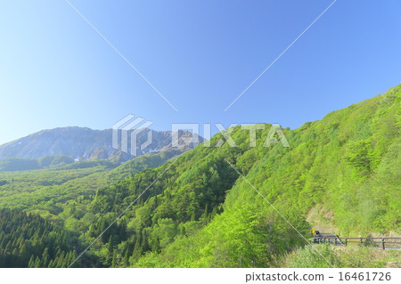 Summer mountain Summer mountain 16461726