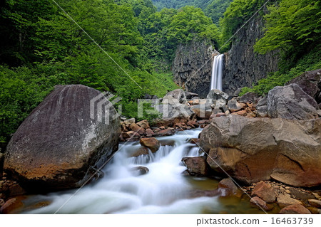 納埃納瀑布 16463739