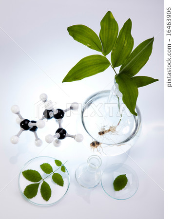 Laboratory pipette, bio organic modern concept 16463906