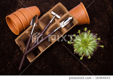 Gardening equipment of green plants 16464043
