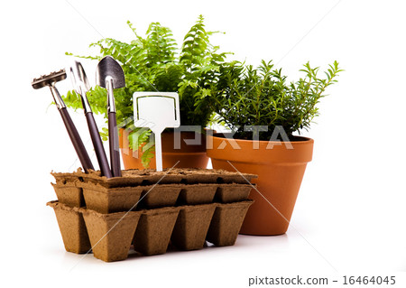 Gardening equipment of green plants 16464045