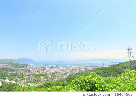 岡山縣倉敷市街道 16464502