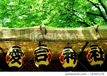 節日燈籠 節日燈籠 16465176