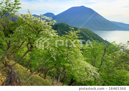 Oku-Nikko和Shinkansen山脊和Mt.的白色虹鱒魚。 Oku-Nikko和Shinkansen山脊和Mt.的白色虹鱒魚。 16465368