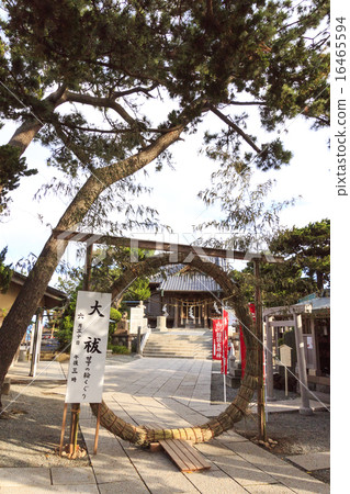 Chanya of Morito Shrine 16465594