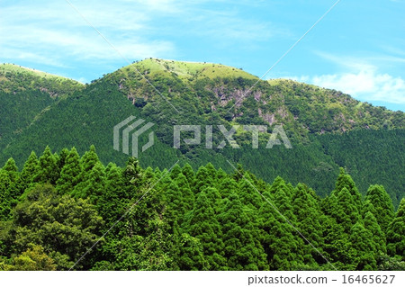 麻生大山 16465627