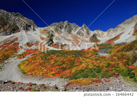 秋天的黎明 秋天的黎明 16466442