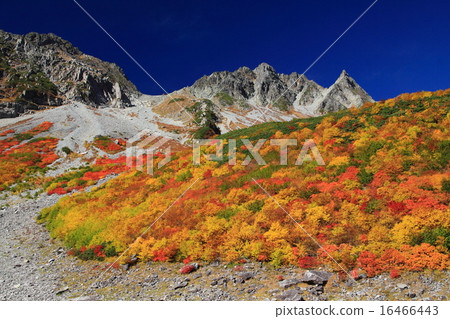 秋天的黎明 16466443