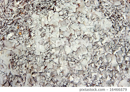 The cracked ground 16466879