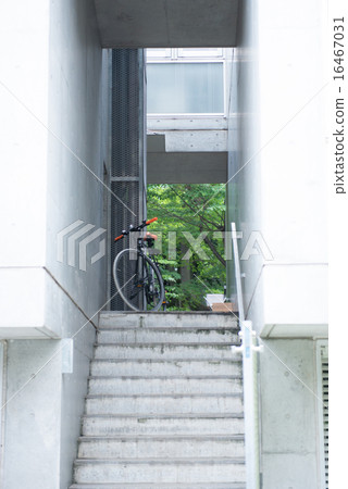 設計師公寓周圍綠樹環繞 16467031