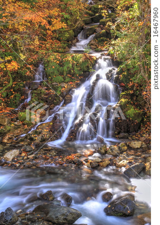 Autumn leaves of Terracotta Autumn leaves of Terracotta 16467960