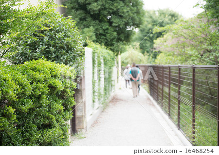 對沖和路徑 對沖和路徑 16468254