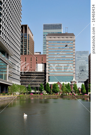 從Uchihigori街和天鵝看到的皇宮Wadakura 從Uchihigori街和天鵝看到的皇宮Wadakura 16468434