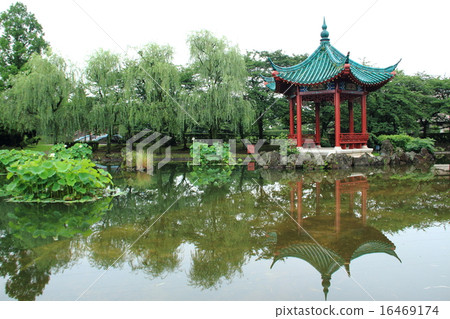 Chinese style garden at the rainy season Wuhan forest 16469174