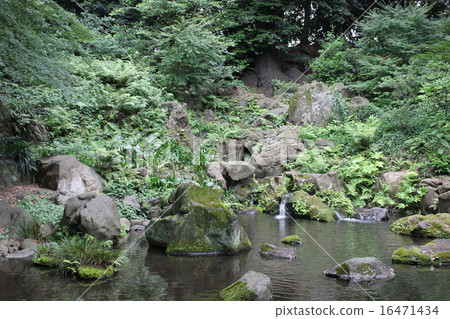 從Rikugien的Takimi茶館景觀 從Rikugien的Takimi茶館景觀 16471434