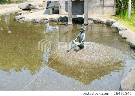 Shikokame green road (May) Urayasu city Chiba prefecture 16471545