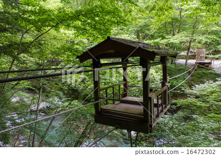 Tokushima Prefecture Oku Iya Double Kazura Bridge Wild Monkey 16472302