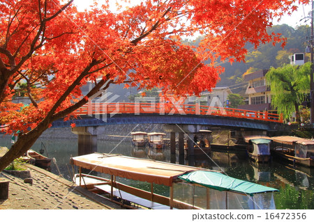 Autumn leaves of Uji Park (Kyoto) 16472356