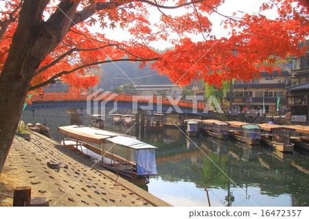 宇治公園（京都）的秋葉 16472357