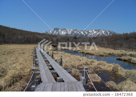 Numawaru泥潭 16472368