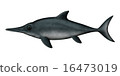 Ichthiosaurus 16473019