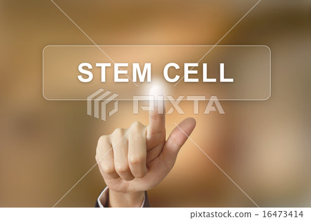 business hand clicking stem cell button  16473414