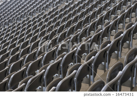 lined chairs 16473431