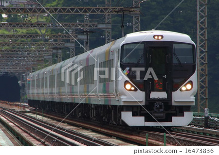 Chuo Line Limited Express Kaiji: E257 Series 9 cars 16473836