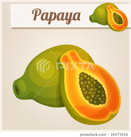 Detailed Icon. Papaya. Detailed Icon. Papaya. 16473918