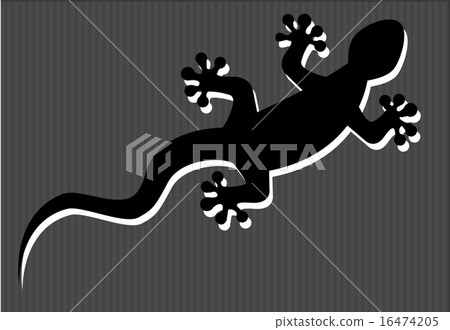 silhouette of gecko 16474205