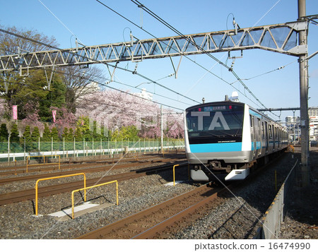 京濱東北線E233系統北至川口站 16474990