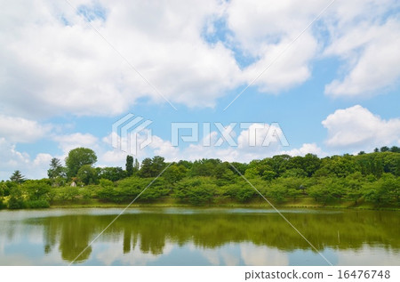 Pond and sky Pond and sky 16476748