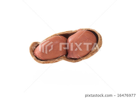 peanut isolated shots on white background peanut isolated shots on white background 16476977