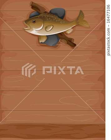 Taxidermy Fish 16477106