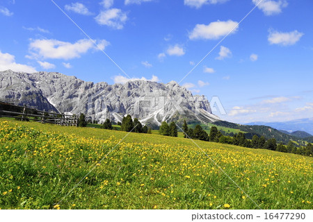 Odre di eores tullen 16477290