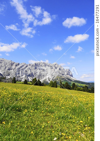 Odre di eores tullen 16477291