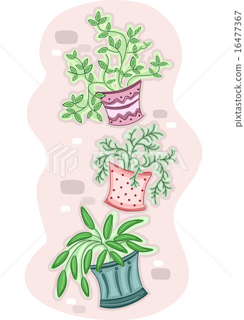 Hanging Plants Hanging Plants 16477367