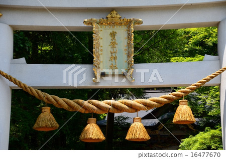 攀爬神社的鳥居 16477670