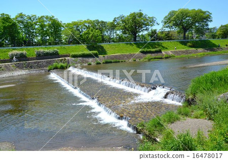 Scenery of the Kamogawa River in Kyoto Scenery of the Kamogawa River in Kyoto 16478017