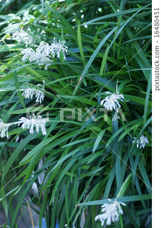 My name is Nolan. My name is Nolan. 16480451