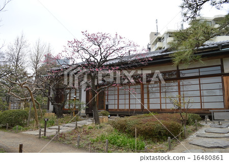 李子和建築物 李子和建築物 16480861