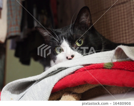 偷窺nyanko 16480908