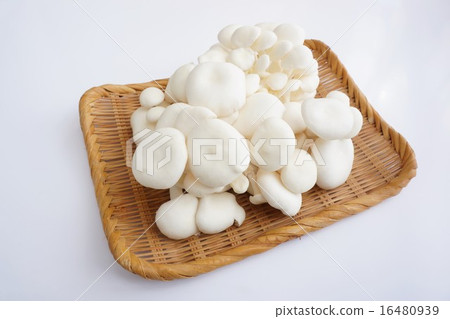 White Miracake 16480939